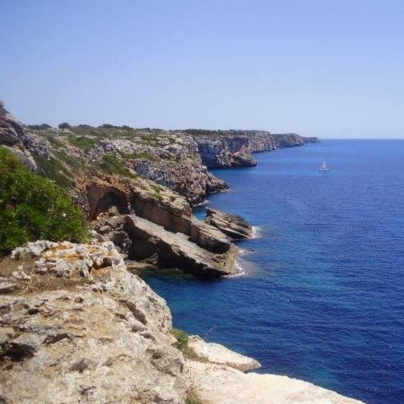 Profile Picture of Pauline Muirhead (@pfmuirhead) on Poshmark