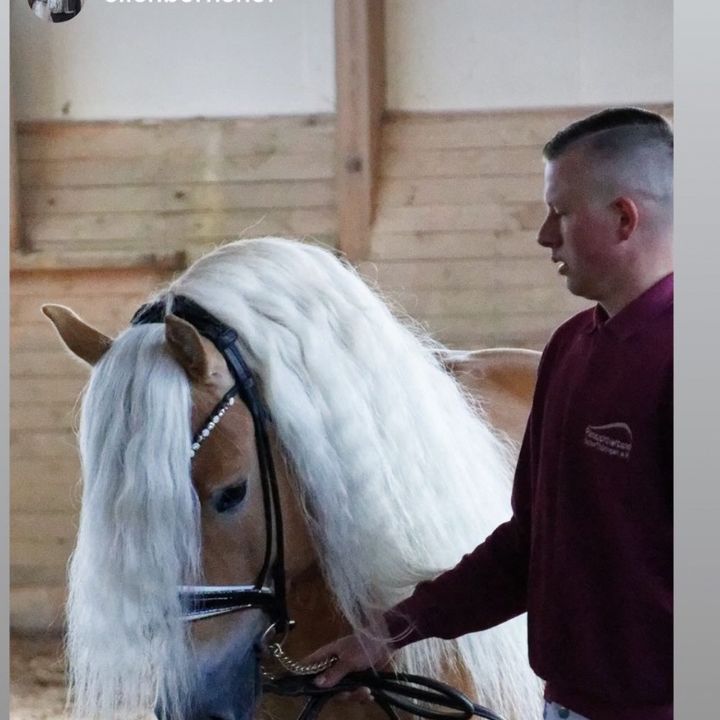 Profile Picture of Benjamin Solbrig (@benjamin.solbrig) on Tiktok