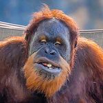 Profile Picture of Randy Myers (@randymyers6116) on Instagram