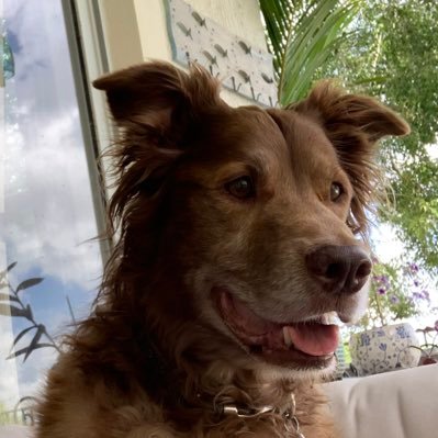 Profile Picture of Mark Feldman (@feldyfeldy11) on Twitter