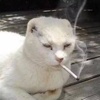 Profile Picture of petrrhird (@petrthird) on Tiktok