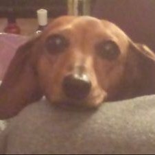 Profile Picture of David Smithers (@DavidSmithers7) on Twitter