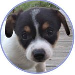 Profile Picture of Alfie Russel Garcia (@alfie_luv) on Instagram