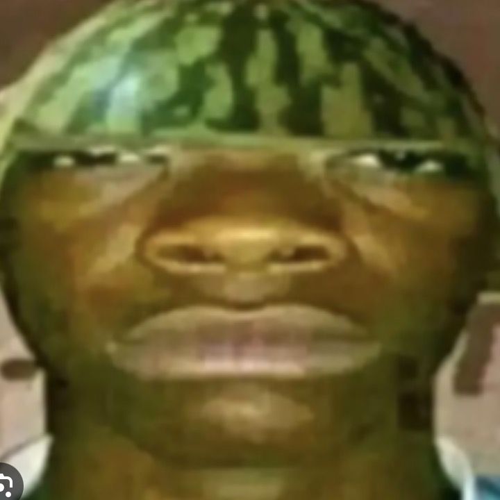 Profile Picture of Memes daily (@randallmemesalt) on Tiktok