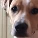 Profile Picture of Doris Simpson (@kojismama) on Pinterest