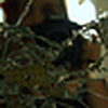 Profile Picture of Jessica Randolph (@cal_guitargrl) on Flickr
