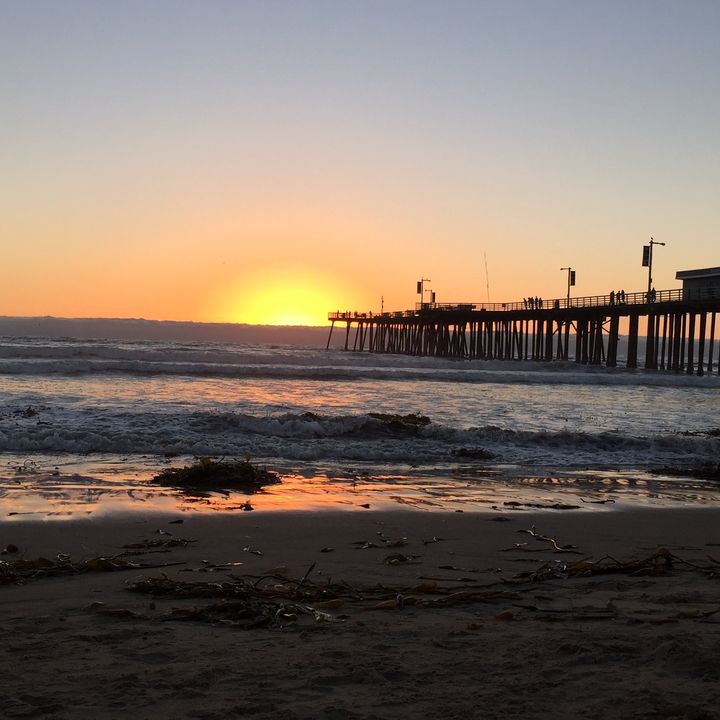 Profile Picture of Carl Collins (@@carlcollins61) on Tiktok