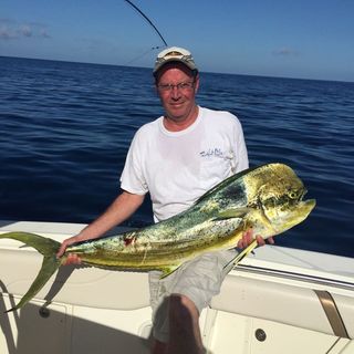 Profile Picture of Bob Barton (@bobbarton5386) on Instagram