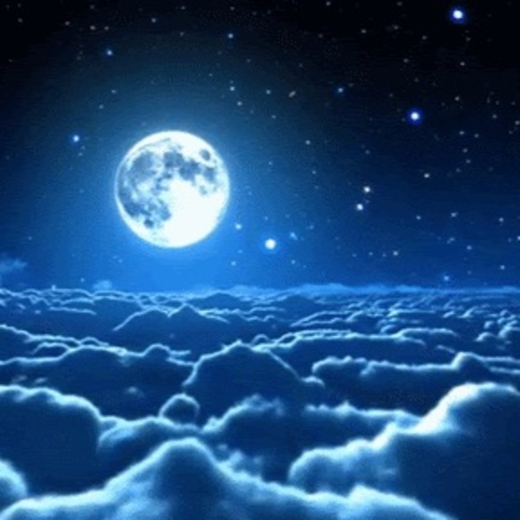 Profile Picture of Gordon Smith (@gordonshouse01) on Poshmark