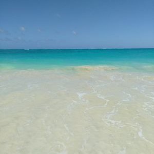 Profile Picture of Michael Coggins (@GTCubMEC) on Twitter