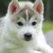Profile Picture of James Lazzaro (@26lazzaroj) on Pinterest