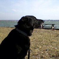 Profile Picture of Matthew Perales (@matthew-perales-3) on Quora