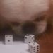 Profile Picture of Decker and Sons Heating and Cooling (@janice4002) on Pinterest