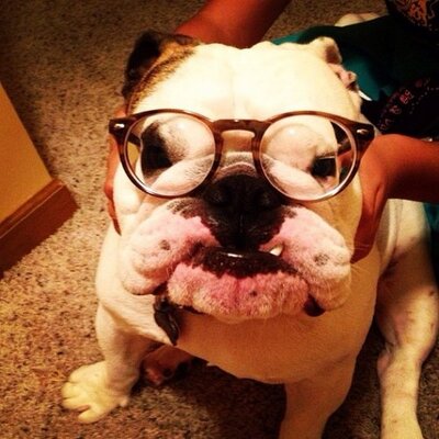 Profile Picture of Preston Swift (@Preston_Swift) on Twitter