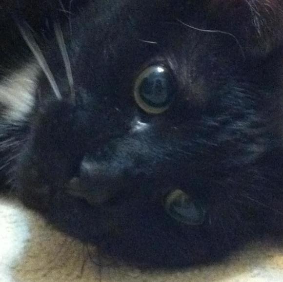 Profile Picture of Amanda Tipple (@amanda_tipple) on Poshmark