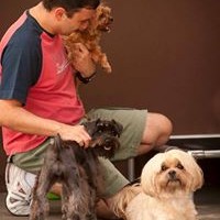 Profile Picture of Daniel Galvão (@daniel-galvão-2) on Quora