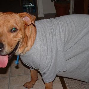 Profile Picture of Bryan Huber (@pr377yp0n135) on Myspace
