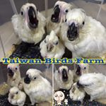 Profile Picture of Alexander - 吳應熊 (@tw0912905602) on Instagram