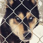 Profile Picture of mario savino (@savinomario9) on Instagram