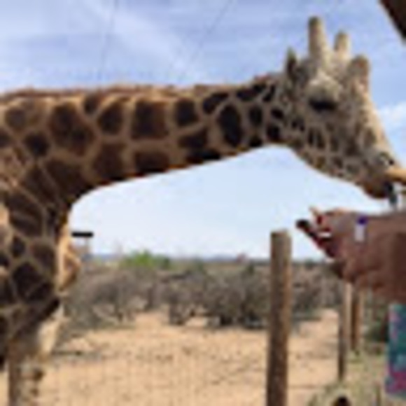 Profile Picture of Elijah Conway (@elijahconway) on Poshmark