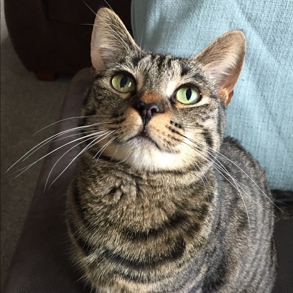 Profile Picture of Wendi Shangraw (@shangs44) on Poshmark