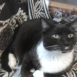 Profile Picture of Jeanne Pryor (@beepop96) on Twitter