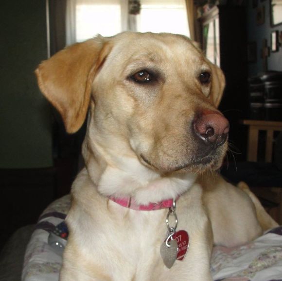 Profile Picture of Chris Symes (@chrissymes) on Poshmark