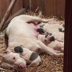 Kirby Childress - Facebook Profile Picture of Kirby Childress (@kirby.childress.35) on Facebook