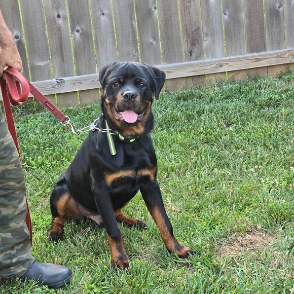 Profile Picture of Nancy Hanson (@vonzmax22) on Poshmark