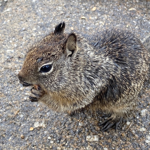 Xiao Xiao - Poshmark Profile Picture of Xiao Xiao (@xiaoxiao128) on Poshmark