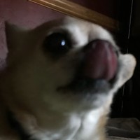 Profile Picture of Tanner Oliver (@tanner-oliver-5) on Quora