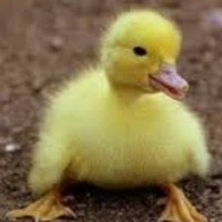 Profile Picture of Joel Garzon (@joel-garzon-1) on Quora