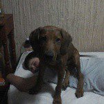 Profile Picture of Conrado Figueroa (@conradofigueroa) on Instagram