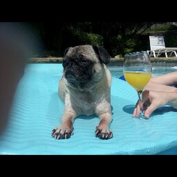 Profile Picture of Rachel Halphen (@rhalph15) on Poshmark