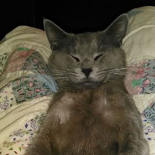 Profile Picture of Michael Racca (@michael.racca.33) on Facebook