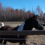 Profile Picture of Dan Lynds (@dan.lynds.3) on Facebook