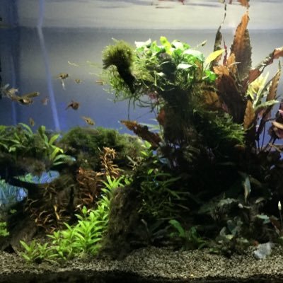 Profile Picture of Matt Walczak (@MatthewCWalczak) on Twitter