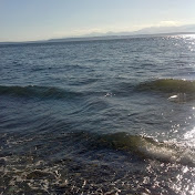 Profile Picture of Brandon Dade (@BrandonDade) on Youtube