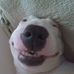 Profile Picture of Matthew Toth (@matthew.toth.3766) on Facebook