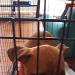 Profile Picture of Maurice Cain (@maurice.cain.965) on Instagram