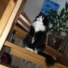 Profile Picture of Erik Nygard aamodt (@@ik81543) on Tiktok