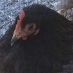 Profile Picture of jeff_downley (@jeff_downley) on Instagram