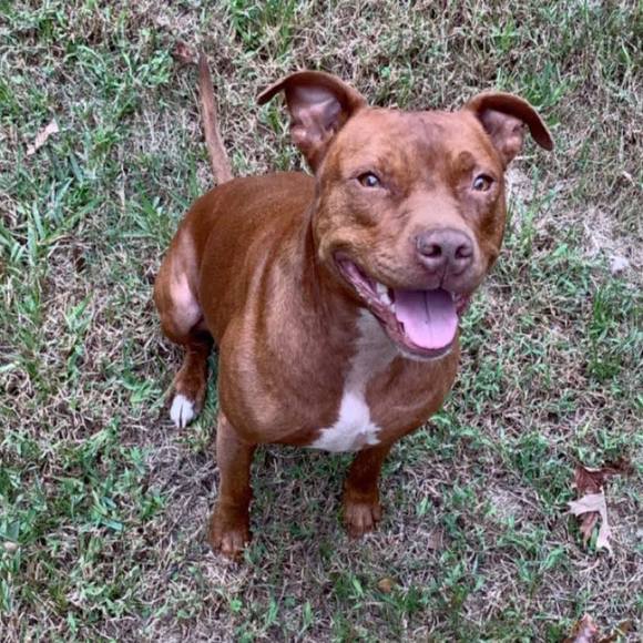 Profile Picture of Jacey Ferguson (@jacey_c) on Poshmark