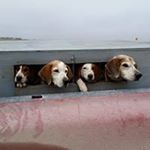 Profile Picture of Todd Schroeder (@schroeder.todd) on Instagram