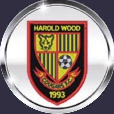 Profile Picture of Harold Wood Cougars FC U14s (@HWCFCYellows) on Twitter