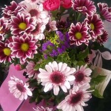 Profile Picture of William Morad (@William_Morad) on Twitter