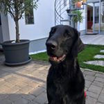 Profile Picture of Sonja Kloibhofer (@sonjakloibhofer) on Instagram