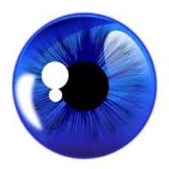 Profile Picture of Scott Bowen (@Scott_Bowen) on Twitter