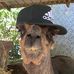 Profile Picture of Jack Simons (@jack.simons.33) on Facebook