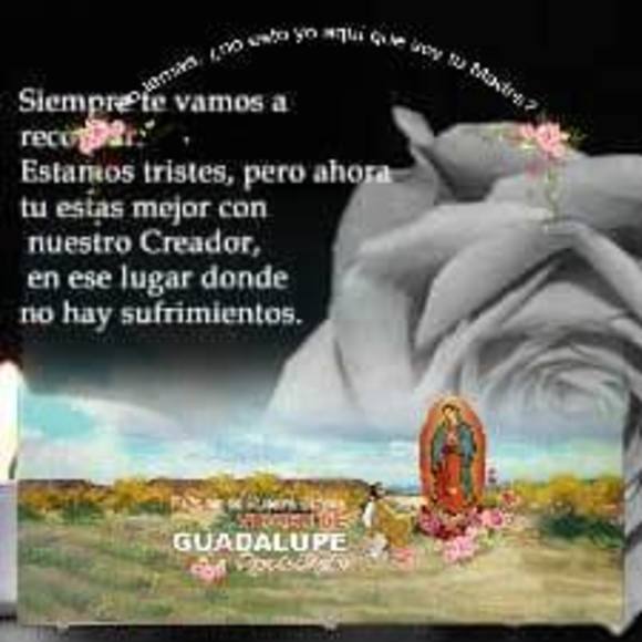 Profile Picture of Gonzalo Ramirez (@gonzaloramir791) on Poshmark